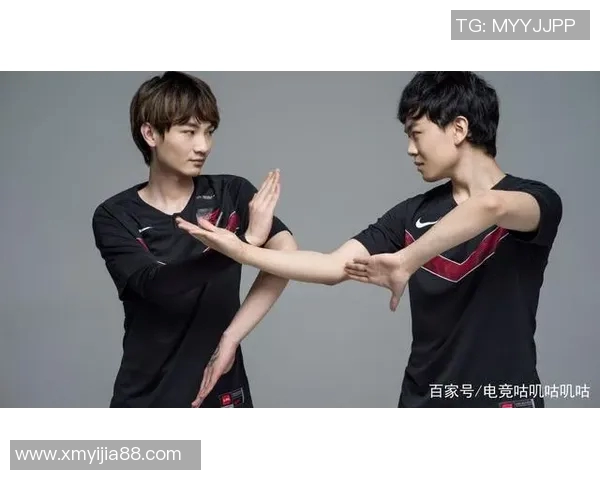 深入分析FPX在王者荣耀比赛中的经验与策略探讨 深入分析FPX在王者荣耀比赛中的经验与策略探讨