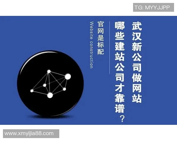 武汉网球队战术解析:从技术细节到团队配合的全面剖析 武汉网球队战术解析:从技术细节到团队配合的全面剖析