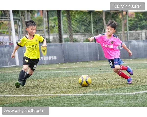 陈娜独家分享足球心得与技巧解析助你成为球场高手 陈娜独家分享足球心得与技巧解析助你成为球场高手