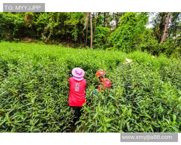 广州乒乓球队荣登乒乓球比赛经验排行榜第一名的背后故事与成就分析 广州乒乓球队荣登乒乓球比赛经验排行榜第一名的背后故事与成就分析