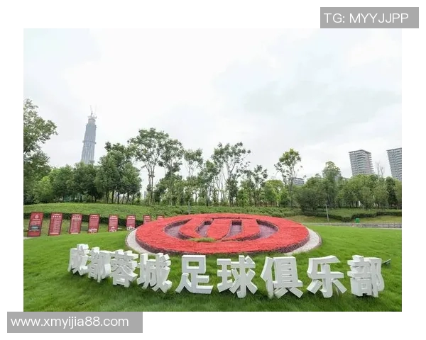 成都足球队防反战术深度解析与实战应用探讨