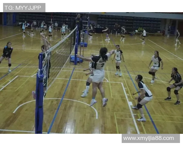 聚焦重庆排球队意识提升与团队协作的探索与实践