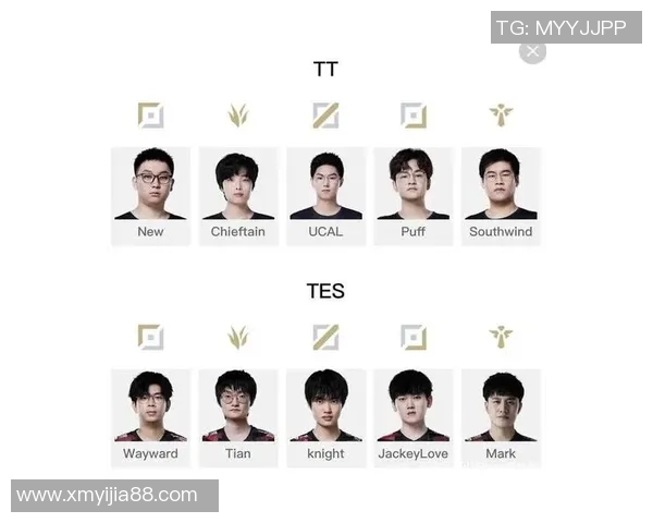 赛后分析：V5与TES对决中的战术布局与执行细节探讨