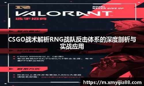 3377体育官网入口网页版