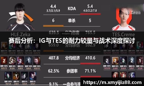3377体育官网入口网页版