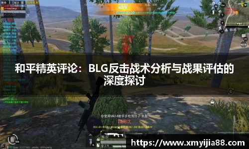 3377体育官网入口网页版