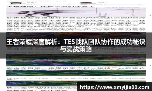 3377体育官网