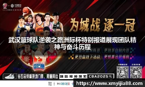 3377体育官网入口网页版