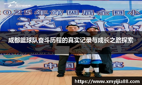 3377体育官网入口网页版