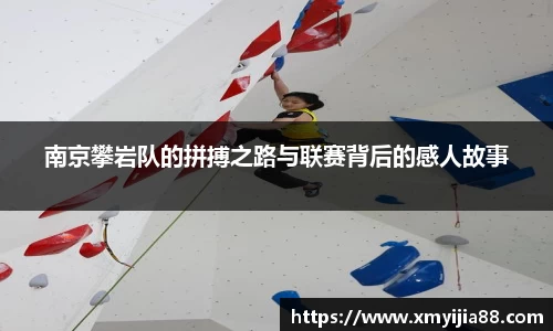 3377体育官网入口网页版