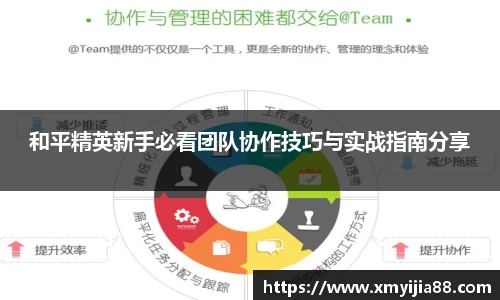 3377体育在线