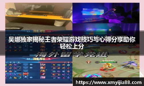 3377体育官网入口网页版